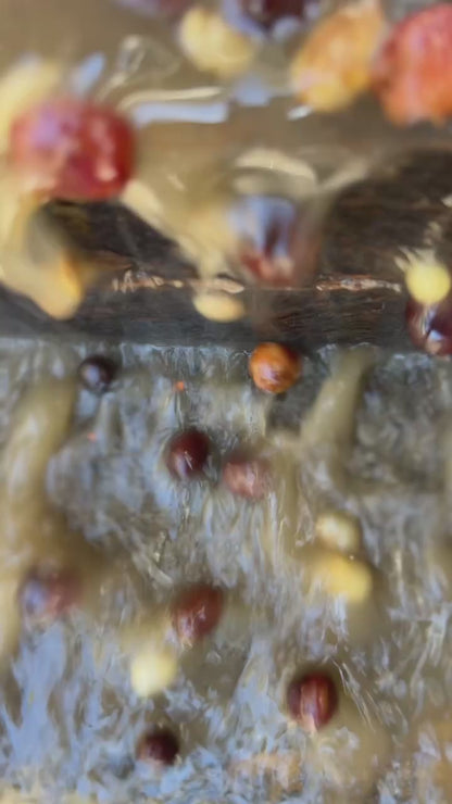 ニカラグア El Cambalache / MARACATURRA washed / 中深煎り