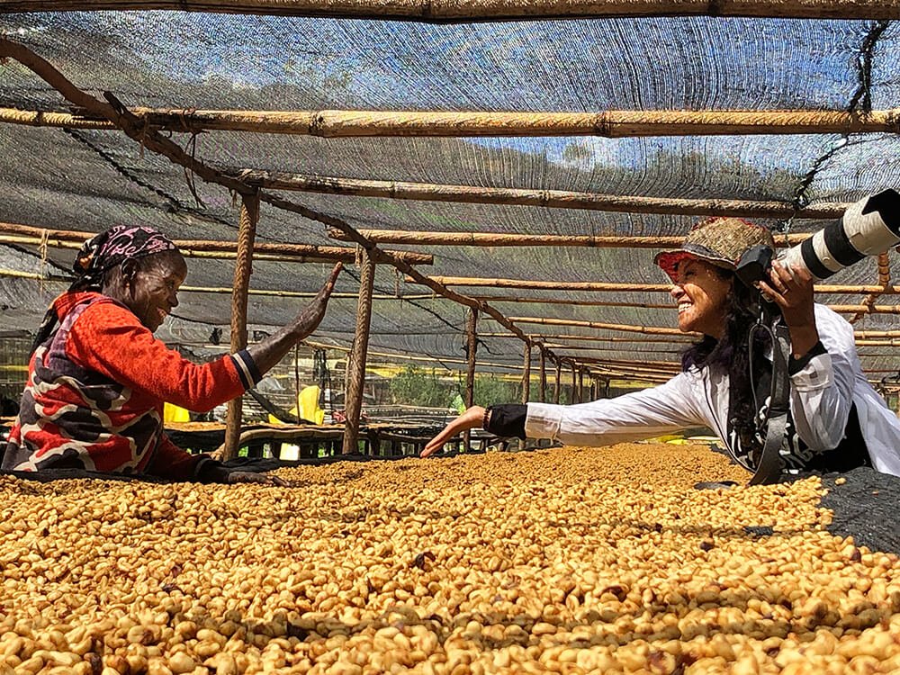 エチオピア GESHA VILLAGE /GESHA1931 Natural/ 浅煎り