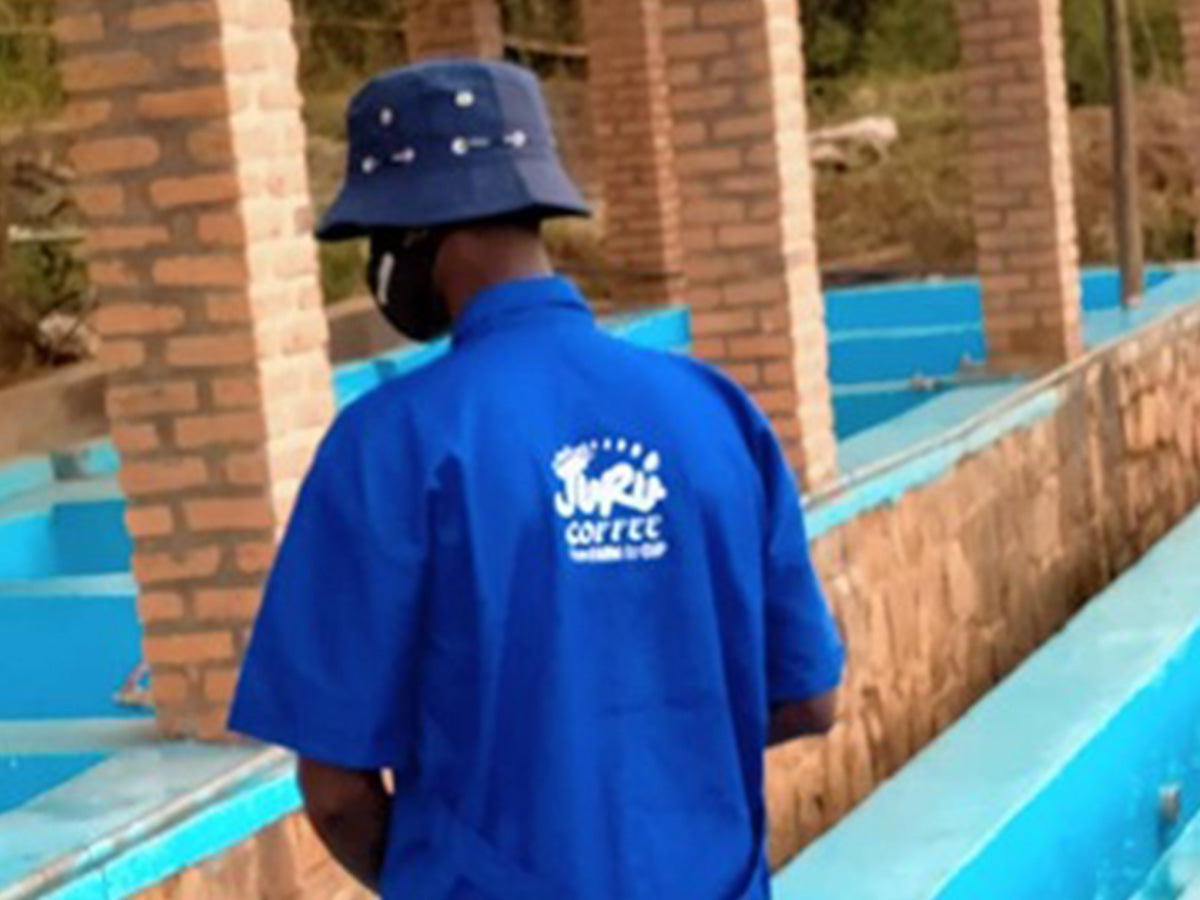 ルワンダ / JURU COFFEE / RED BOURBON AA /Fully Washed / 浅煎り